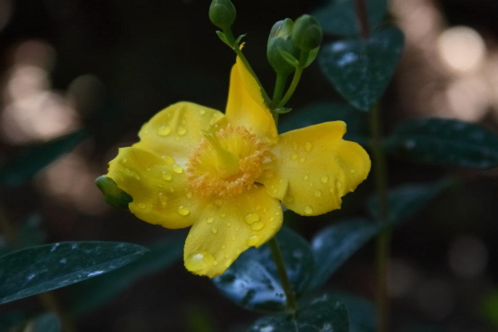2012 06 07 5432